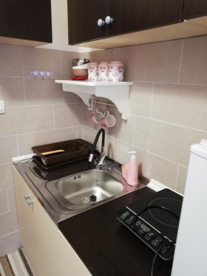 Studio Apartman Small Lili Popovaca Bagian luar foto